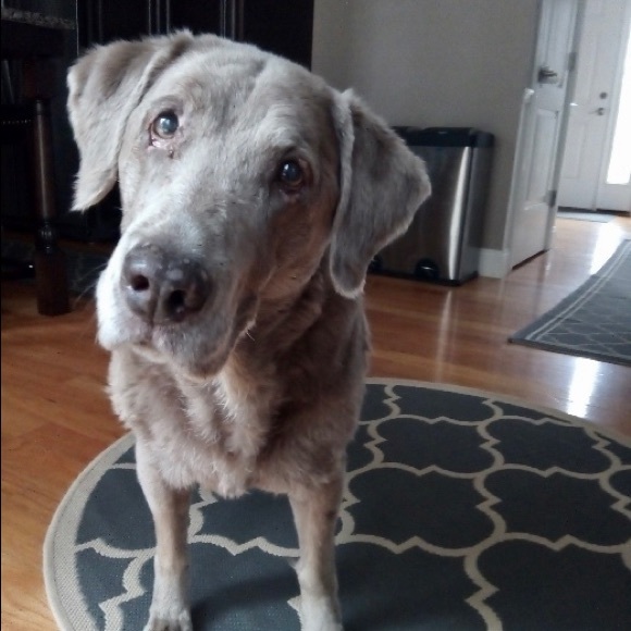 Meet your Posher, James - Picture 1 of 1